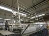 Quilting Machines - 63