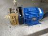 THEN Sample Dye Machine - 11