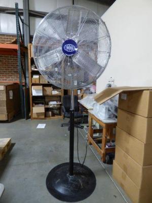 Pedestal Fan