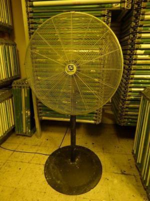 Pedestal Fan