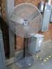 Pedestal Fan