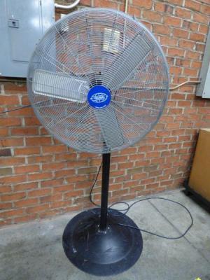 Pedestal Fan