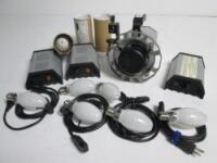 150w HMI Standard base globe kit