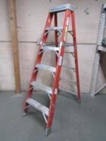 6-Step Ladder