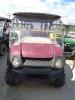 Kawasaki Utiliy Cart 2P - 2