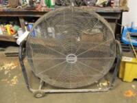 Floor Fan