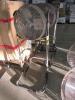 TPI Industrial 18in High Stand Fans - 2