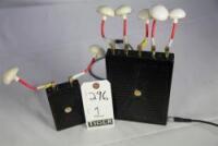 WIVID TRANSMITTER/RECEIVER SET