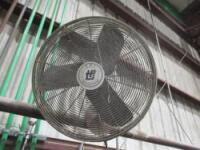 Fan