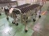 Flexible Mobile Conveyor - 4