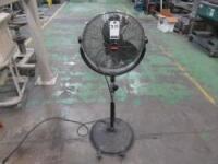 Dayton Pedestal Fan