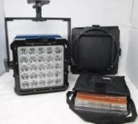 Nila Boxer LED - 200w Daylight Head