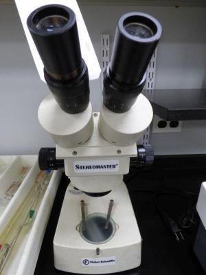 Fisher Scientific Microscope