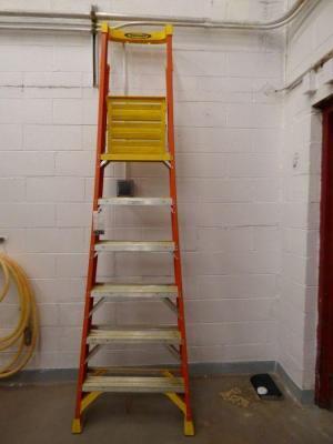 Werner Step Ladder