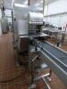 Delicatessen Tray Packing and Sealing Line - 7