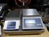 Lot Mettler Toledo Scales - 2