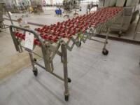 Stainless Steel Conveyors