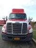 2013 Freightliner Cascadia 125 Semi Truck - 7