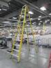 Rock River 12' Fiberglass Ladder - 2