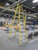 Rock River 12' Fiberglass Ladder - 3