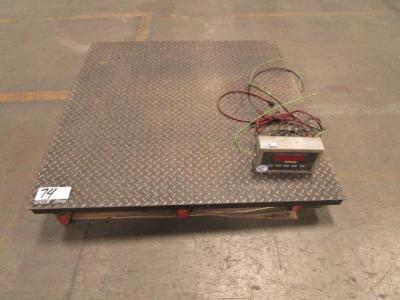 RoughDeck Scale w/Scale Reader