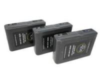 House Of Power Gold Mount Batteries