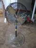 Dayton Pedestal Fan