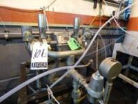 Graco Stainless Steel Glutton Pump