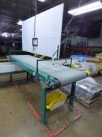 Inspection Conveyor