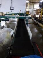 Reject Conveyor
