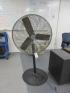 Assorted Pedestal Shop Fans-30in - 2