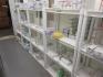 Assorted Plastic/Metal Shelving