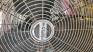 High Velocity Pedestal Fan - 2