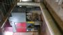 2015 Donaldson Filtration Cyclone Particle Collector - 2