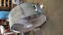 TPI Industrial Portable Blower Fan - 2