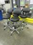 Black Lab Chairs-Swivel Base - 2
