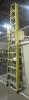Green Bull Fiberglass Ladder - 2