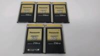 Panasonic 256Gb ExpressP2 Memory Cards