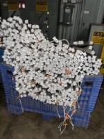 Lot Rosh LED Tube Lights
