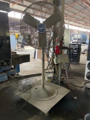 Patton Pedestal Fan