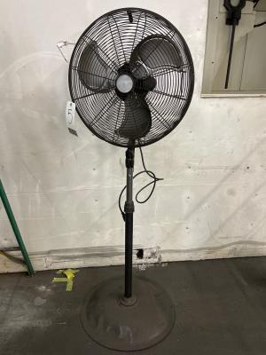 Pedestal Fan