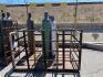 Lot (3) Tank Storage Systems - 2