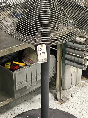 30' Pedestal Fan