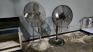 Pedestal Fans