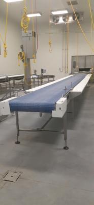FPEC Plastic Belt Conveyor