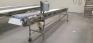 FPEC Plastic Belt Conveyor
