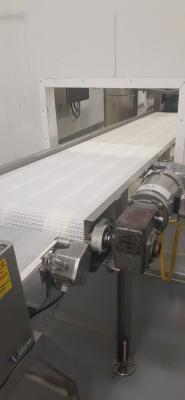 Inclined Plastic Belt Conveyor