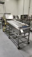 Inclined Wire-Mesh Conveyor