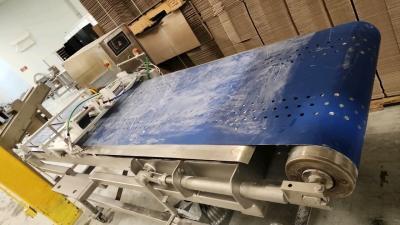 Belt Conveyor w/Control Panel Box