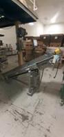 Deamco Incline Conveyor